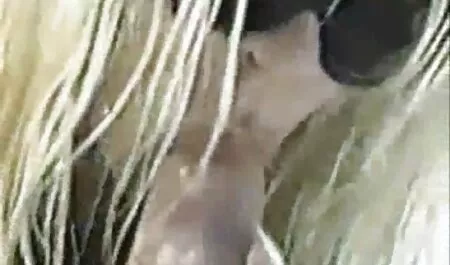 Geile Lily verstopt zich voor anale Lily. free seksfilm