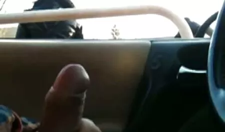 Is het mogelijk om de kat bi seks films aan te raken en te schreeuwen met plezier