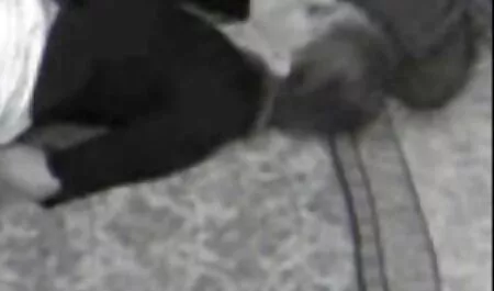 Lachend naakt meisje romantische seksfilms