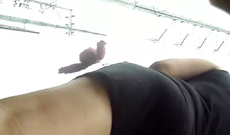 Babe met dildo partnerruil seksfilms tot orgasme